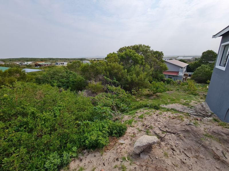 A view of the rear portion of the vacant residential land, featuring natural coastal vegetation and sandy ground cover.