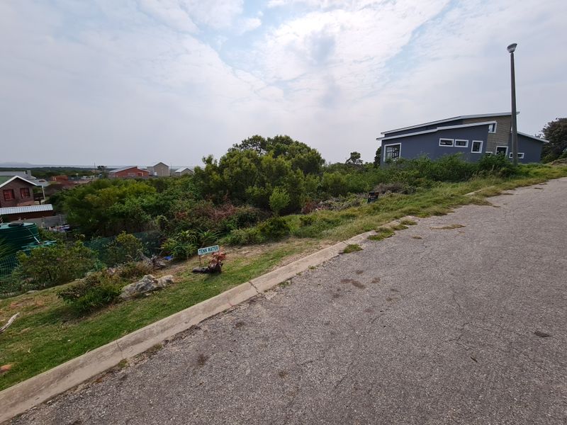 A street-level view of a residential vacant land plot featuring an asphalt road, concrete curbing, and surrounding neighborhood vegetation.