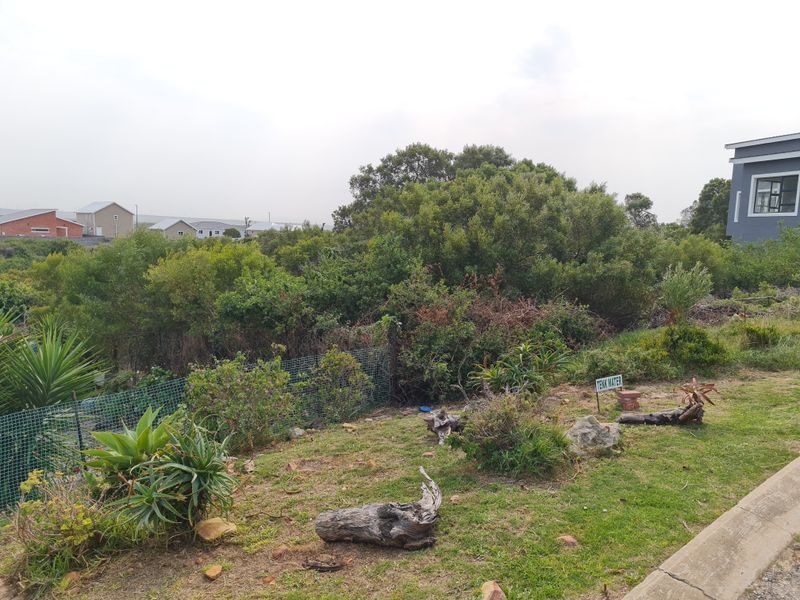 A view of a residential plot featuring established garden vegetation, wire fencing, and a concrete curb bordering the property.