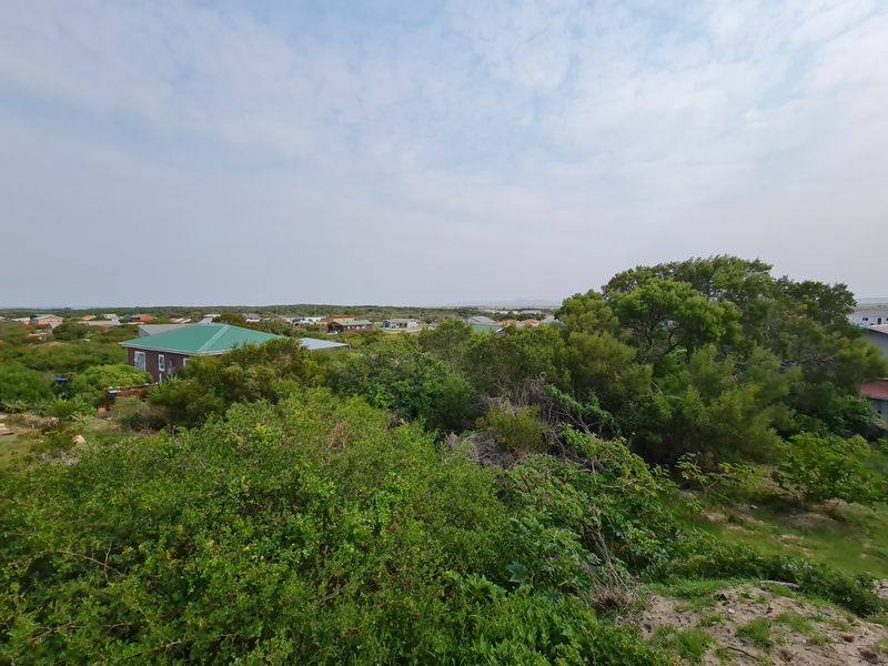 An elevated view overlooking a coastal residential area with dense natural vegetation and surrounding neighborhood homes.
