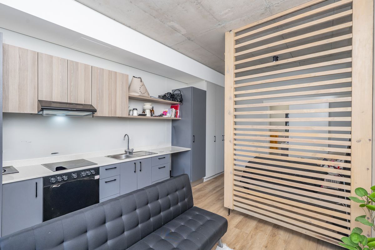 Modern open-plan apartment featuring a compact kitchen with built-in appliances, exposed concrete ceiling, and a stylish timber slat divider separating the living area.