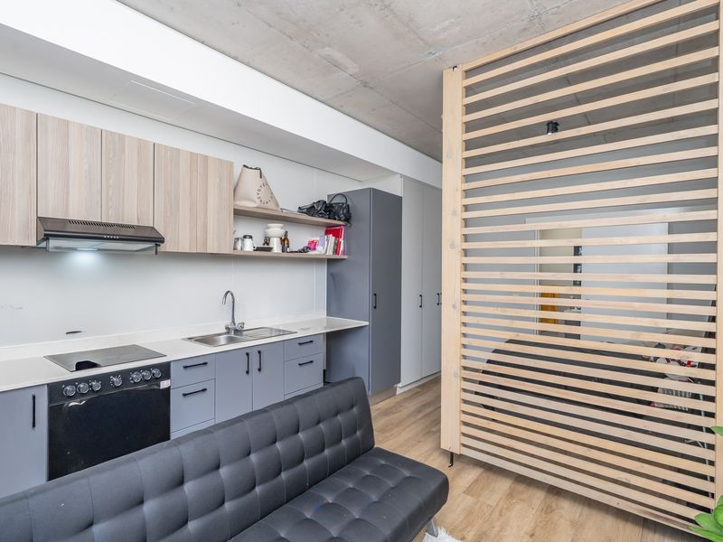 Modern open-plan apartment featuring a compact kitchen with built-in appliances, exposed concrete ceiling, and a stylish timber slat divider separating the living area.