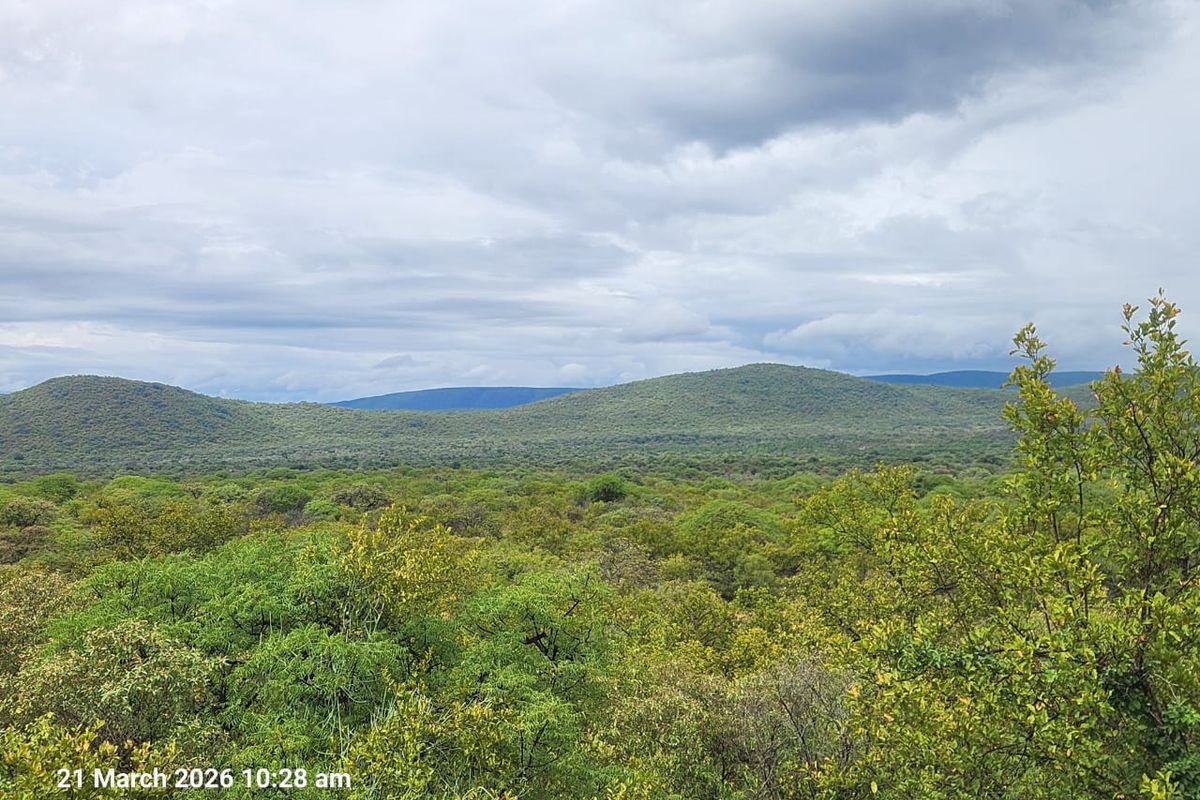 A scenic landscape view overlooking lush green hills and dense vegetation under a cloudy sky.