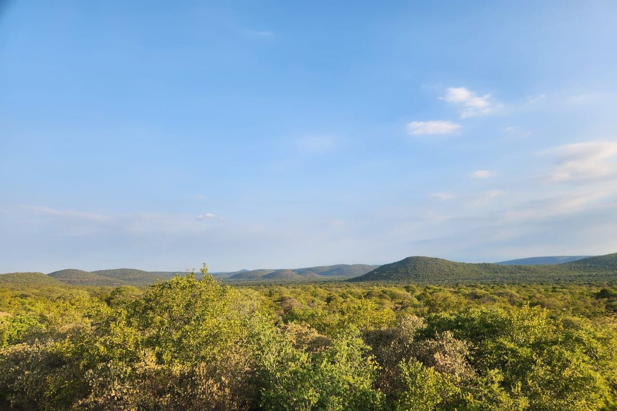 A scenic, elevated landscape view showcasing the expansive natural bushveld and rolling hills surrounding the property.