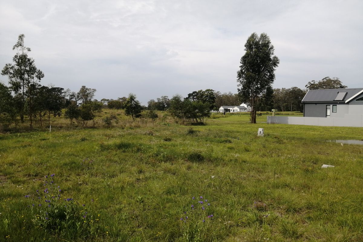 A view of an expansive, undeveloped grassy plot with established trees and a partial view of neighboring residential structures.