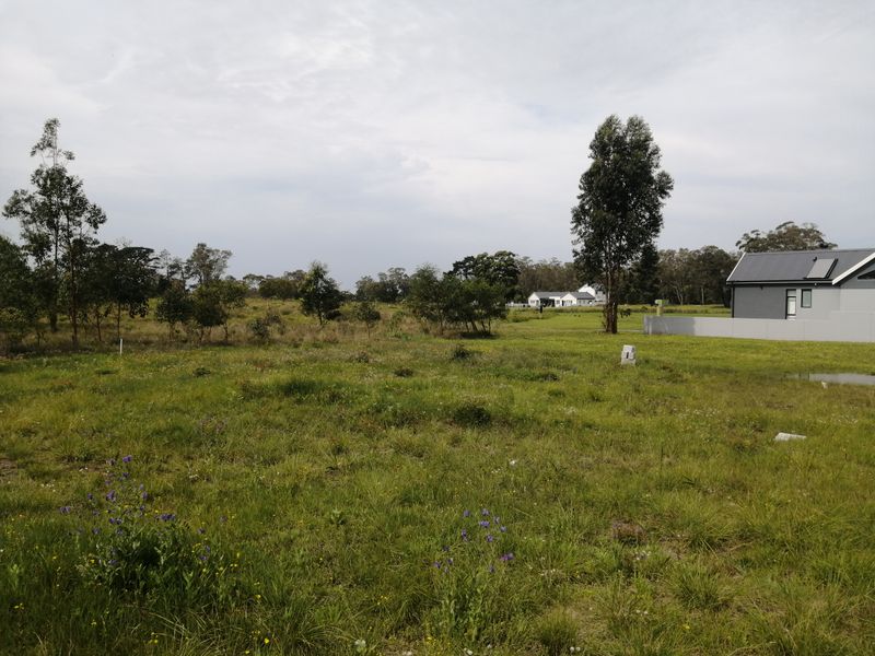 A view of an expansive, undeveloped grassy plot with established trees and a partial view of neighboring residential structures.