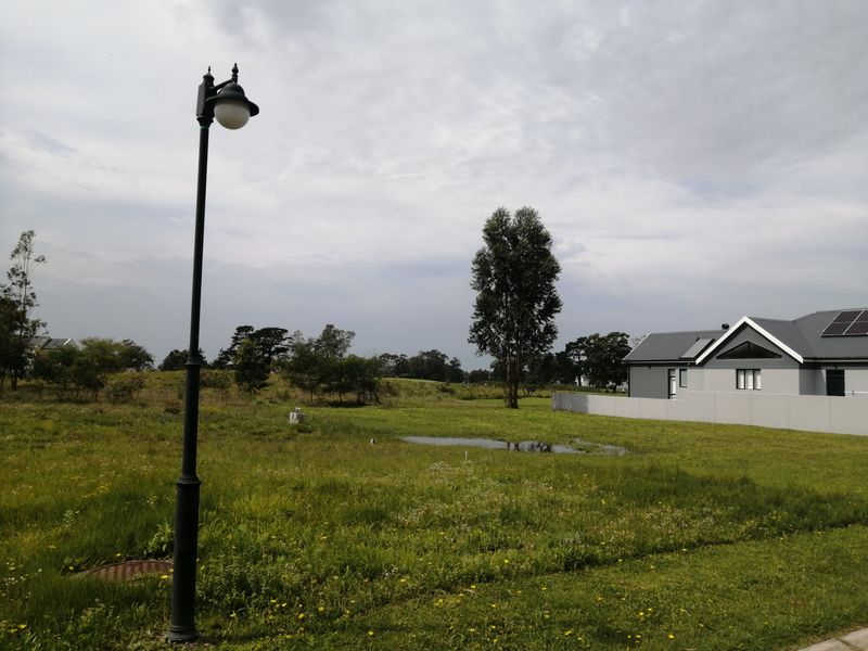 A view of the rear garden area featuring a boundary wall, solar panels on the roof, and a street lamp in the foreground.