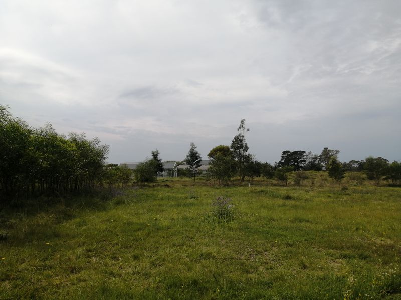 A wide-angle view of a large, open grassy garden area with mature trees and natural landscaping.