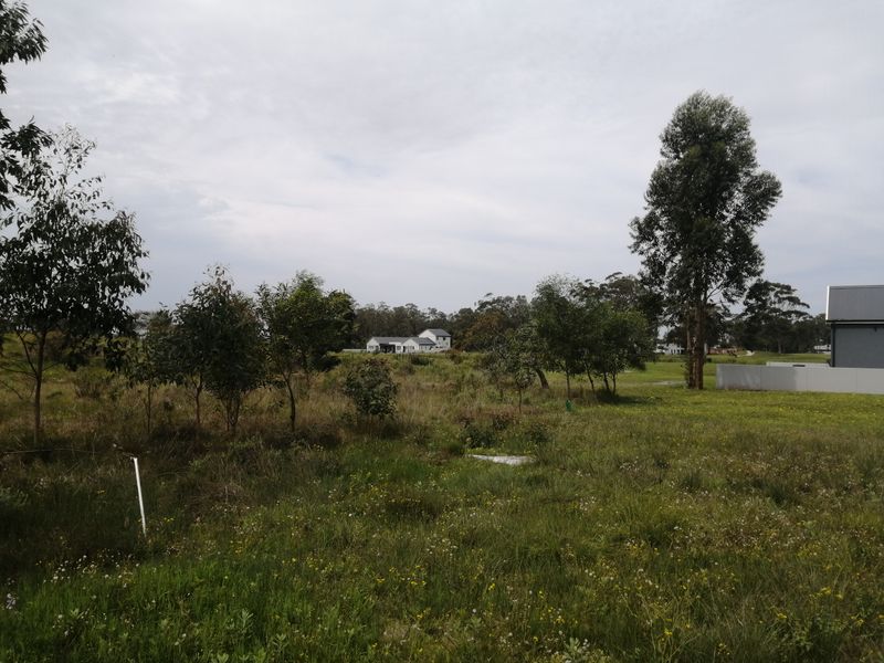 A view of an open, undeveloped plot of land with native vegetation and distant residential buildings.