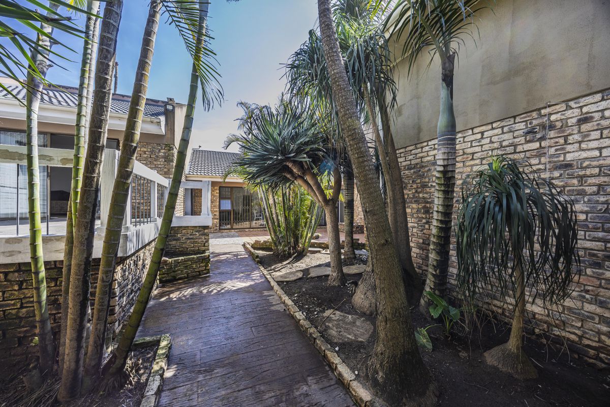 A rear exterior view featuring a paved walkway, established palm trees, and brick wall construction leading towards the main dwelling entrance.