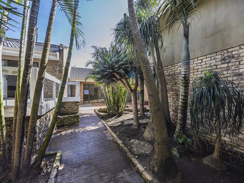 A rear exterior view featuring a paved walkway, established palm trees, and brick wall construction leading towards the main dwelling entrance.