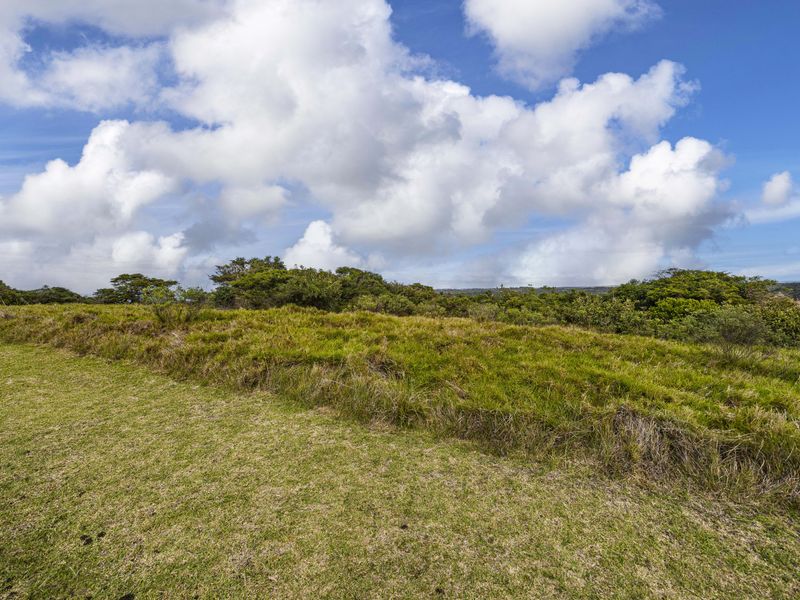 A scenic view of the vacant residential land featuring natural grass and surrounding native vegetation under a bright blue sky.