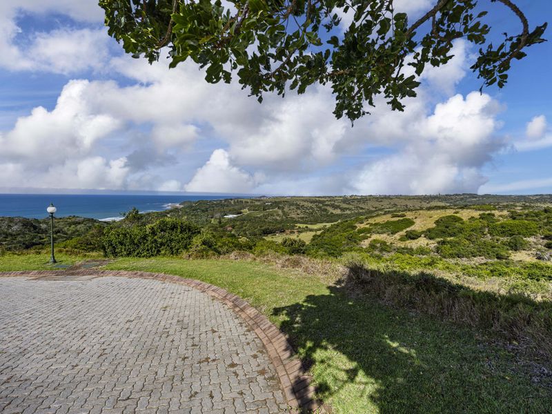A scenic elevated view overlooking the coastal landscape and ocean, featuring a paved driveway area in the foreground.
