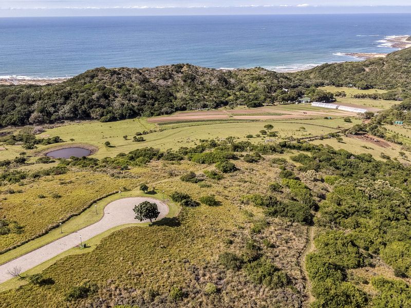 An aerial view of a large residential vacant land plot featuring natural coastal vegetation, a paved driveway, and scenic ocean views.
