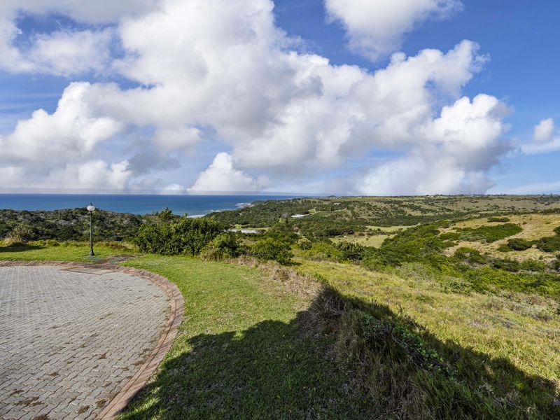 A scenic elevated view overlooking the coastal landscape and ocean, featuring a paved driveway area in the foreground.