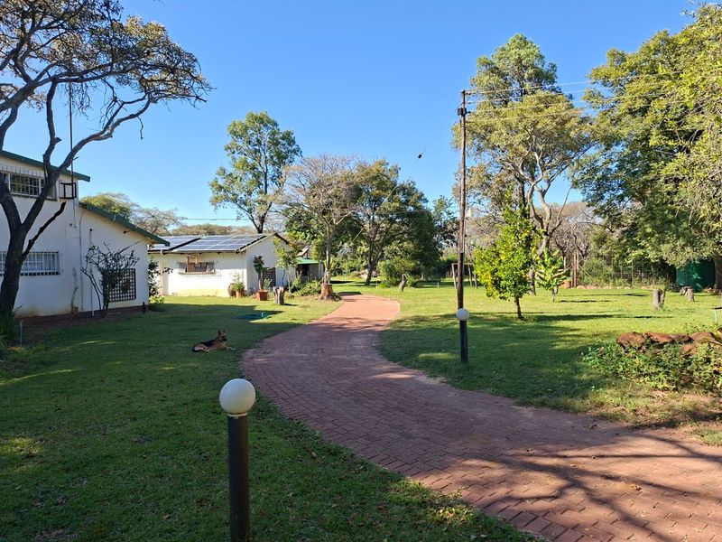 A well-maintained garden area featuring a paved walkway, mature trees, and solar panels installed on the roof of the adjacent building.