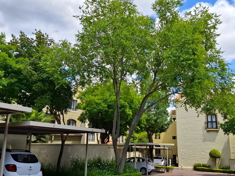 Exterior view of the apartment complex featuring covered parking bays, paved driveway, and established garden landscaping.