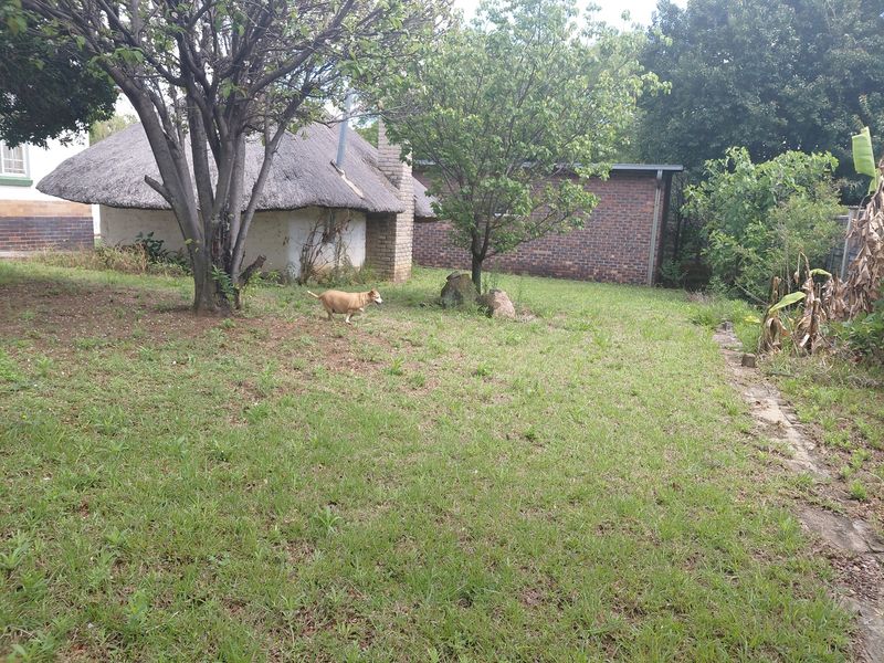 A view of the rear garden featuring a structure with a traditional thatch roof, brick chimney, and surrounding lawn area.