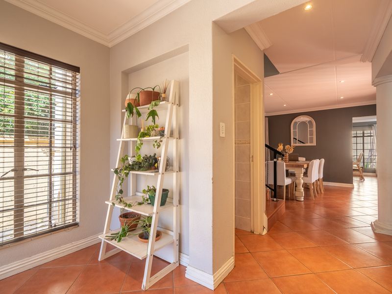 A bright hallway featuring terracotta floor tiles, decorative cornicing, and recessed lighting, providing a seamless transition between the living areas.