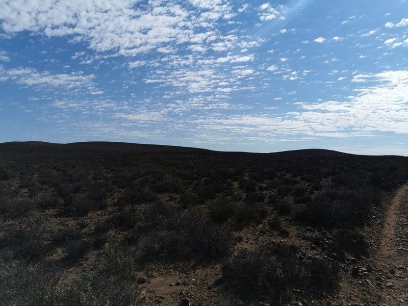 LOERIESFONTEIN: 2 ADJACENT FARMS - Photo 7