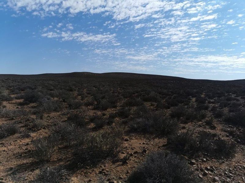 LOERIESFONTEIN: 2 ADJACENT FARMS - Photo 6
