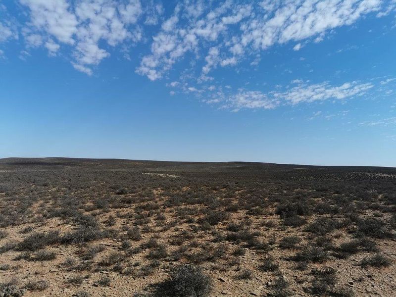 LOERIESFONTEIN: 2 ADJACENT FARMS - Photo 5