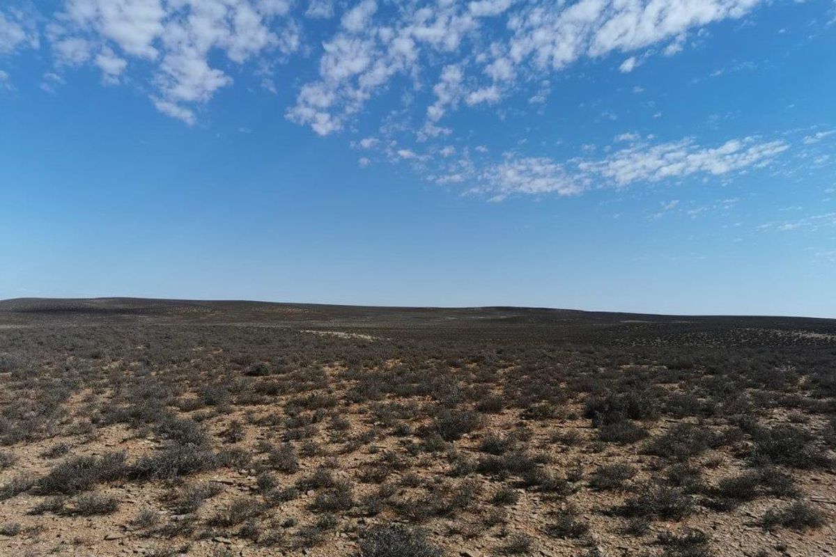 LOERIESFONTEIN: 2 ADJACENT FARMS - Photo 5