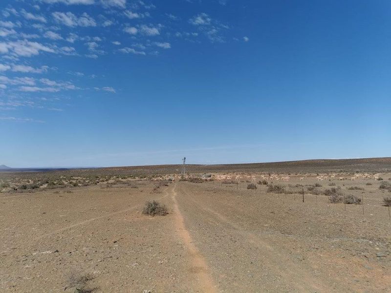LOERIESFONTEIN: 2 ADJACENT FARMS - Photo 8
