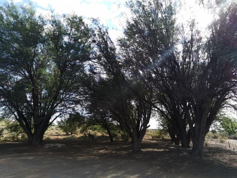 LOERIESFONTEIN: 2 ADJACENT FARMS - Photo 9