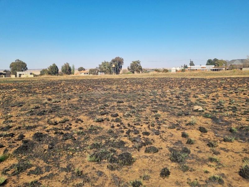 A wide-angle view of a vacant residential plot showing signs of recent fire damage to the ground cover.