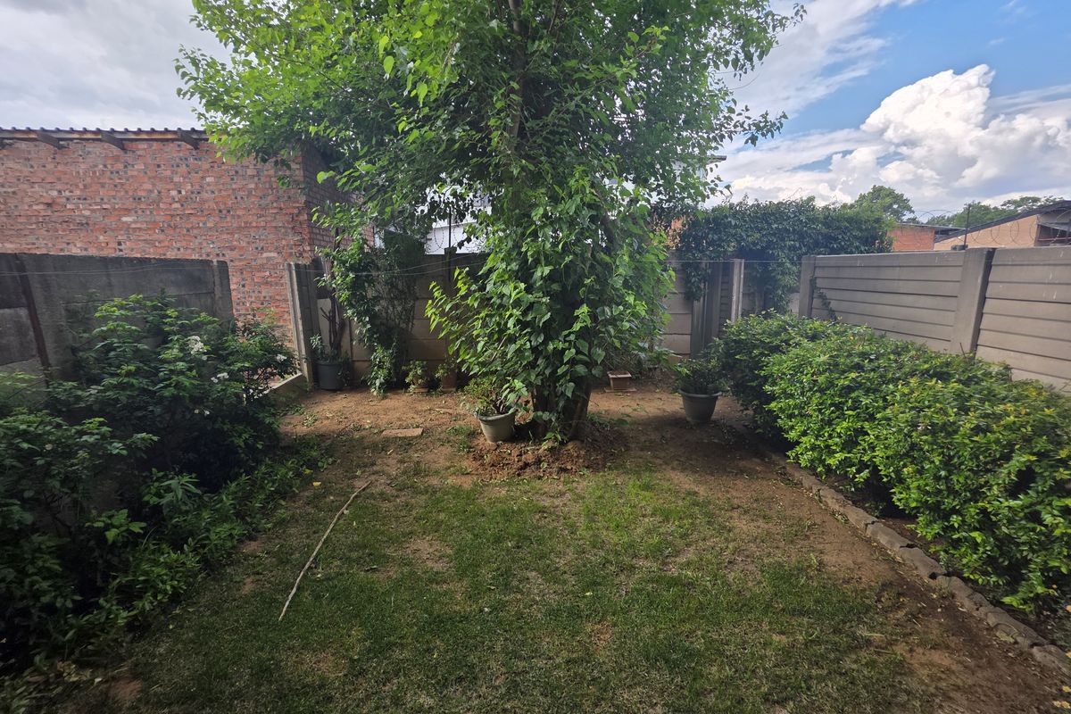 A private rear garden featuring a mature tree, established shrubbery, and enclosed by precast concrete boundary walls.