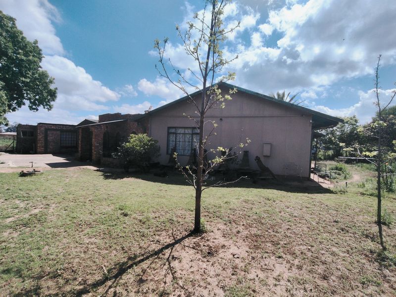 Rear view of the property showing a single-story house with brick and rendered walls, security bars on windows, and a surrounding garden area.