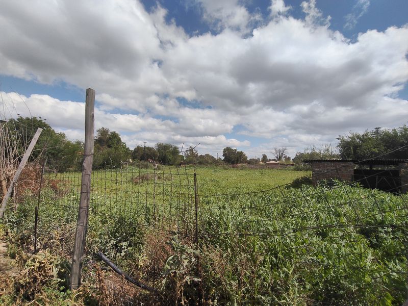 An expansive, overgrown garden area featuring wire mesh fencing, a weathered wooden post, and a small brick outbuilding structure.