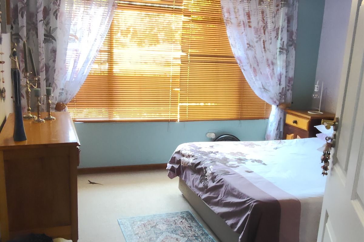 A bedroom featuring carpeted flooring, a pendant light fixture, and large windows fitted with venetian blinds and curtain rods.