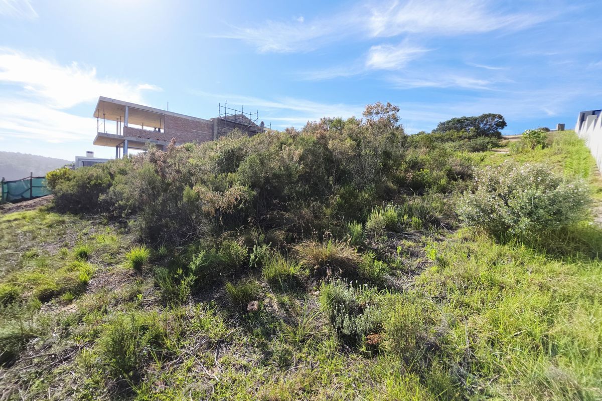 A view of the sloped residential land with native vegetation, showing a neighboring property under construction in the background.