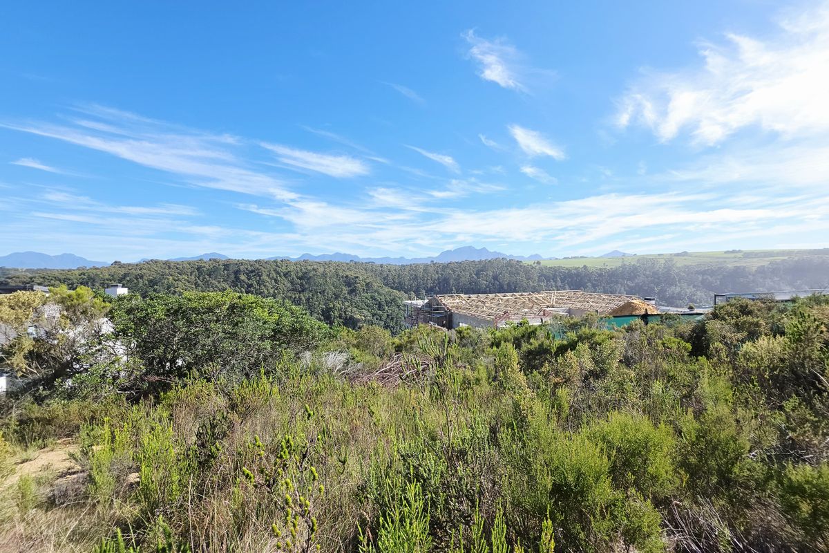 A scenic view overlooking natural vegetation and distant mountain ranges, showcasing the surrounding landscape of the vacant residential property.