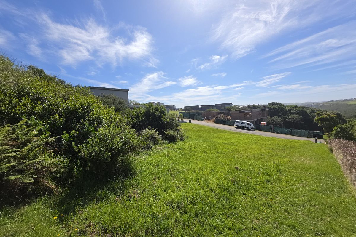 A view of a vacant residential plot featuring a grassy lawn and established native shrubbery, situated in a developed neighborhood setting.