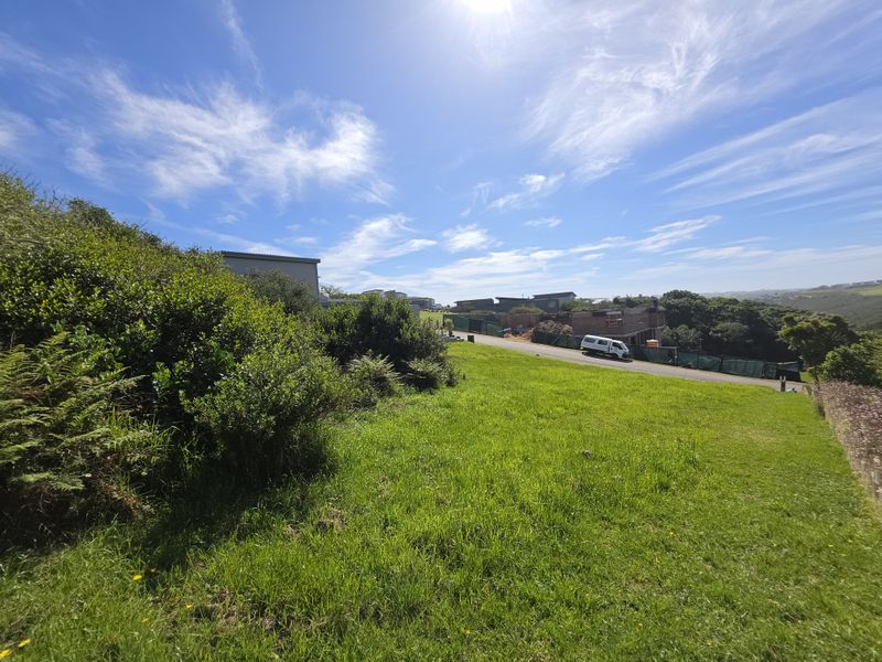 A view of a vacant residential plot featuring a grassy lawn and established native shrubbery, situated in a developed neighborhood setting.