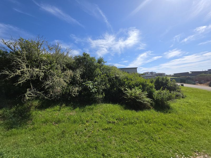 A view of a vacant residential plot featuring established shrubs and grass lawn in a suburban setting.