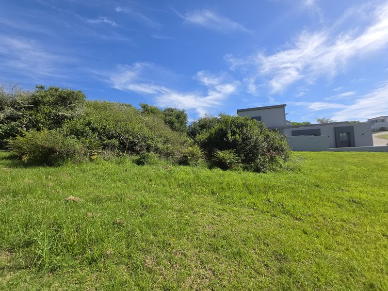 A view of a vacant residential plot featuring a grass lawn and established native shrubbery with a neighboring property visible in the background.