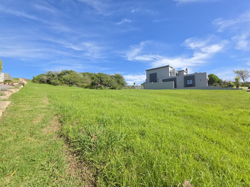 A view of a sloped residential plot featuring a well-maintained grass lawn, retaining wall, and established shrubbery with a modern home in the background.