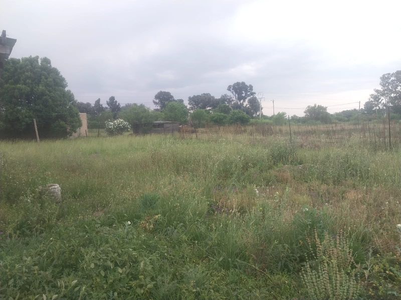 A large, undeveloped plot of land featuring overgrown grass, mature trees, and perimeter wire fencing.