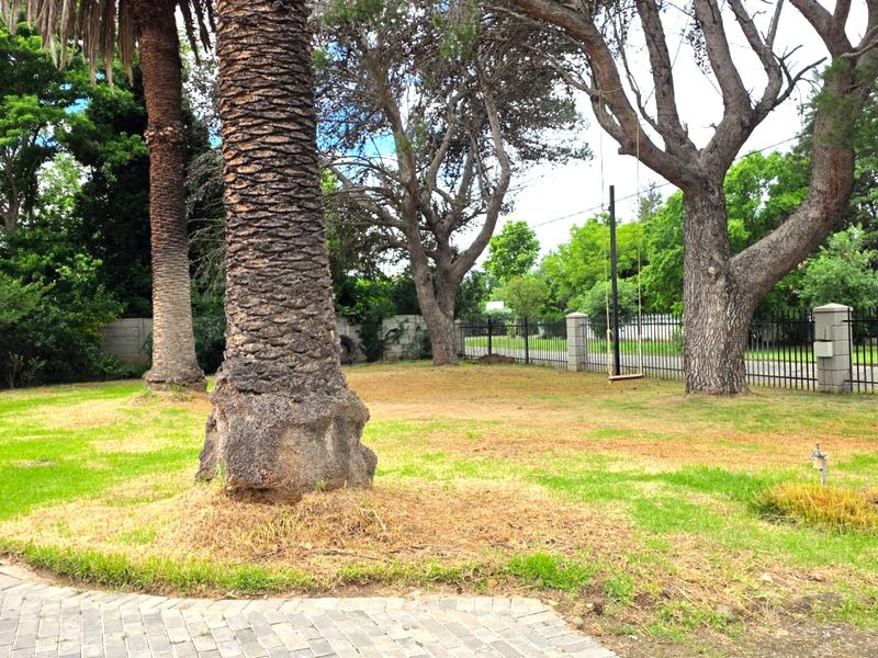A spacious garden area featuring mature trees, palm trees, and metal perimeter fencing, with a paved driveway section in the foreground.