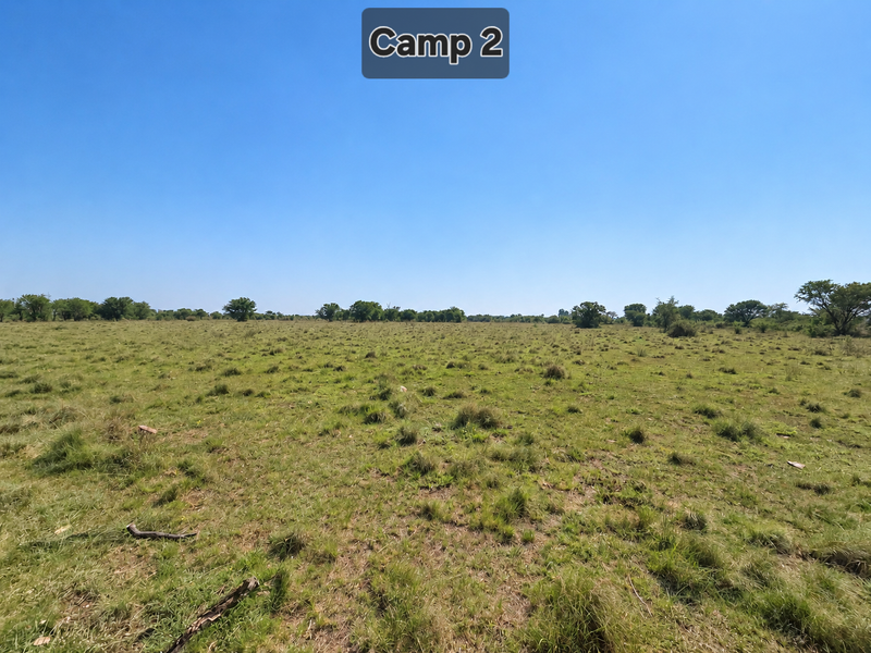A wide-angle view of an open grassy pasture on the farm, featuring native trees and clear horizon lines.