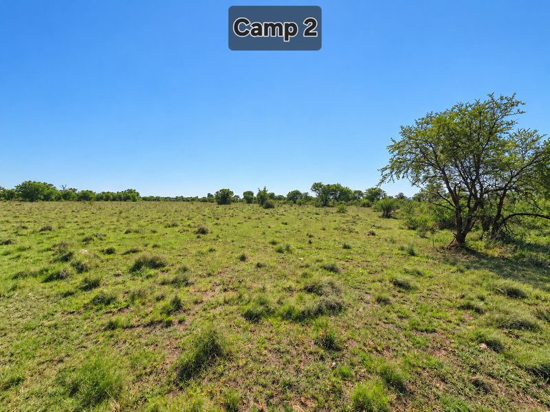 A wide-angle view of the open farm landscape featuring natural grassland and scattered indigenous trees under a clear blue sky.