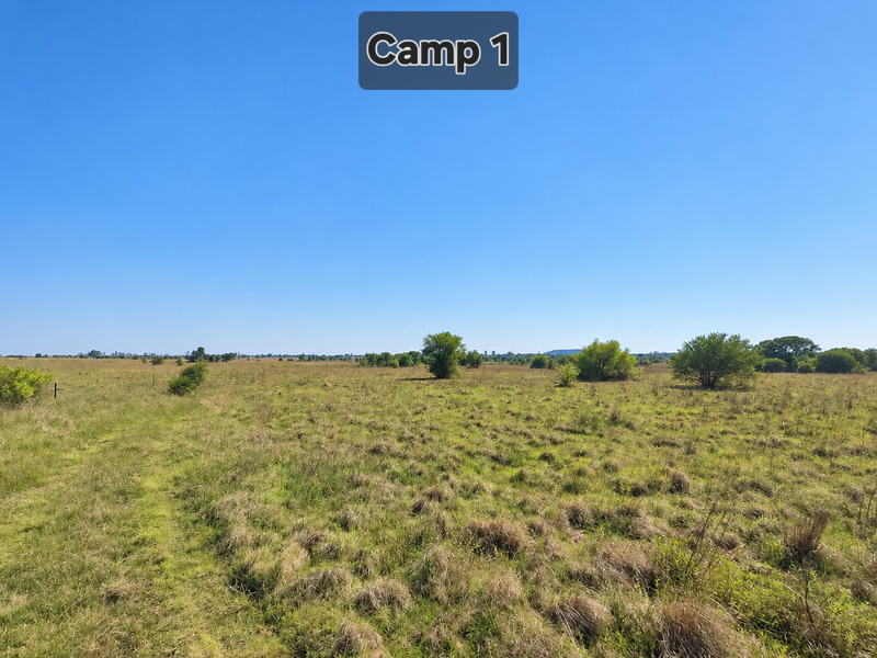 A wide-angle view of open grazing land or camp area on the farm, featuring natural vegetation and perimeter fencing.
