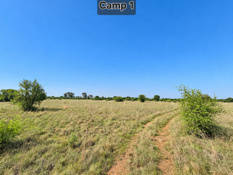 An expansive open field on the farm property featuring natural grassland and a dirt track path.