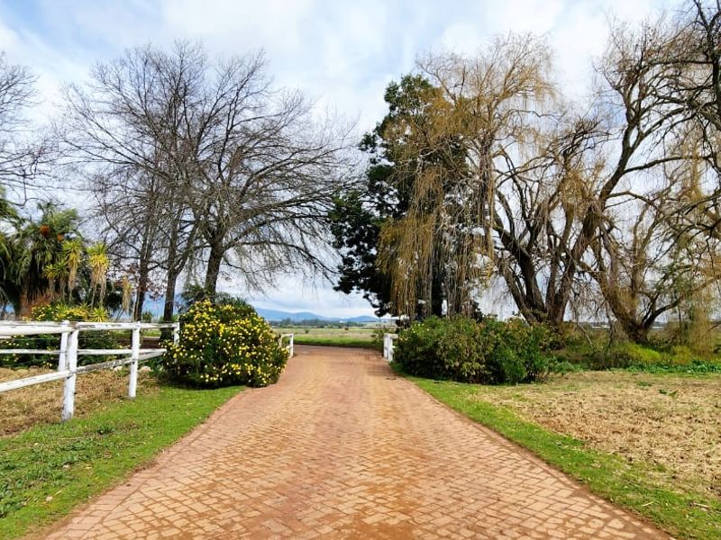 A scenic driveway entrance featuring a paved path, mature trees, and white timber post and rail fencing.