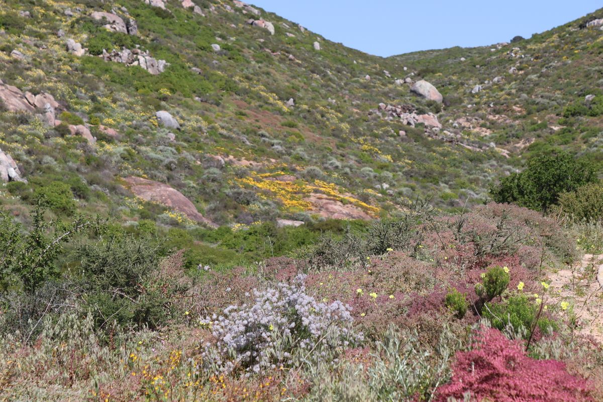 Vacant land for Sale in Steenberg Cove, St Helena Bay - Photo 2