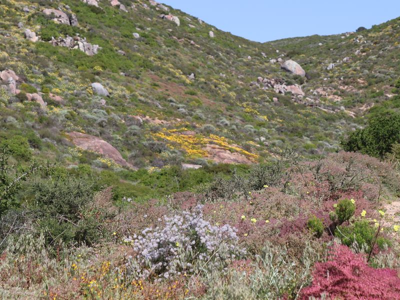 Vacant land for Sale in Steenberg Cove, St Helena Bay - Photo 2